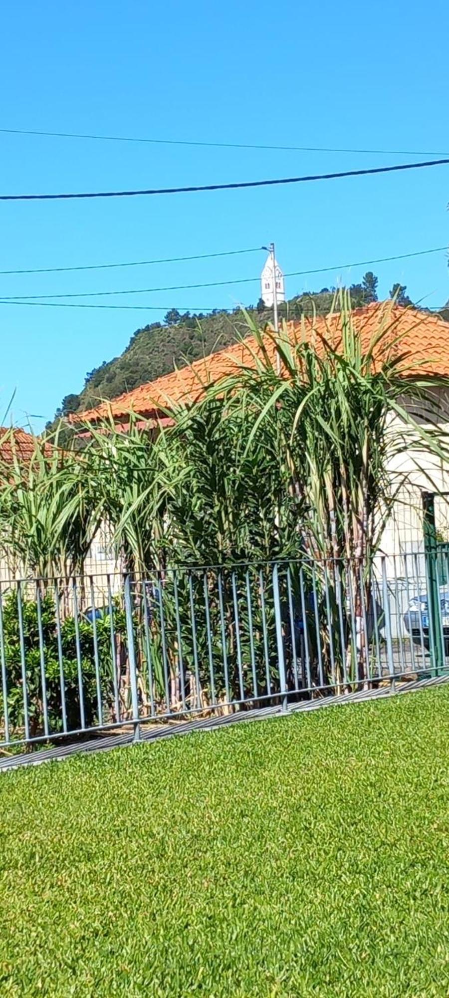 Refugio Do Limoeiro Villa Sao Vicente  Exterior photo